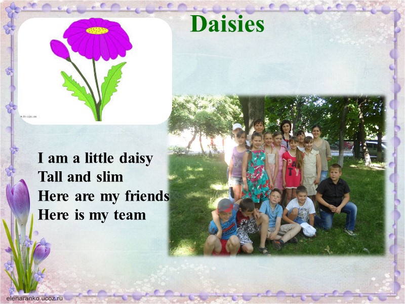 Daisies  I am a little daisy Tall and slim Here are my friends